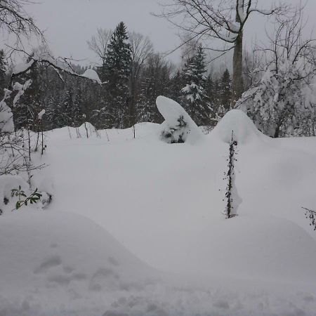 Pension Oberwirt Fischbachau Bagian luar foto